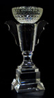 trofeu golf