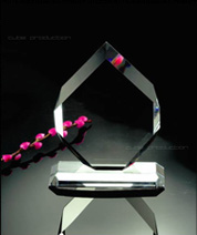 trofee de cristal - plachete cristal