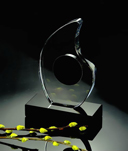 cristal gravat tridimensional
