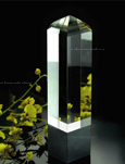 cristal gravat tridimensional