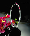 cristal gravat tridimensional