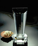 cristal gravat tridimensional