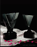 cristal gravat tridimensional